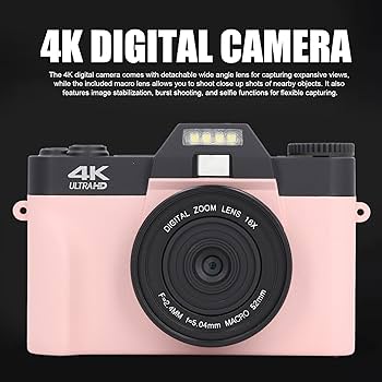 rose　写真のMとVとT MA*RS】フロントVラインレースブラウス - ピンク size-F | 地雷